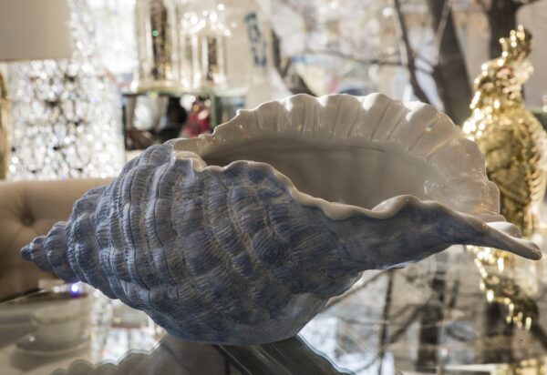 TRITON SHELL