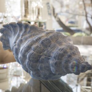 TRITON SHELL