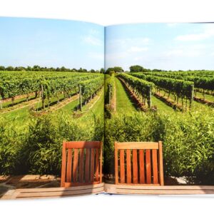 КНИГА IN THE SPIRIT OF THE HAMPTONS