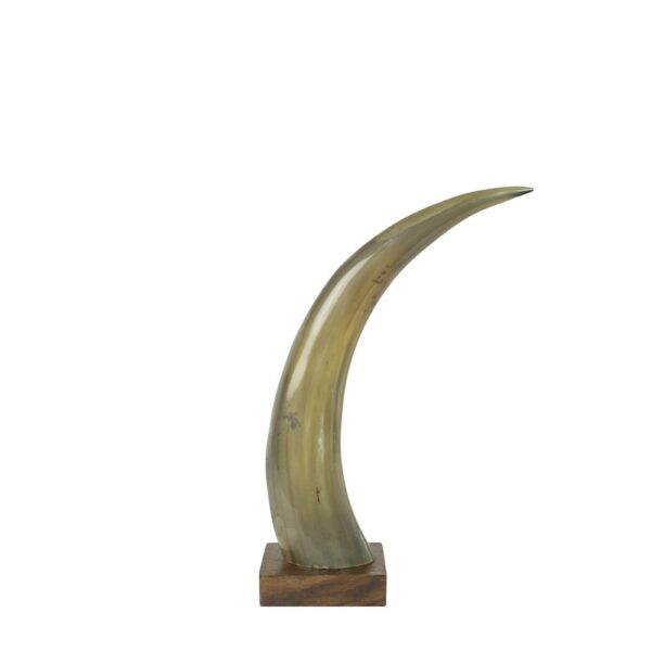 HORN ON WOOD 35CM