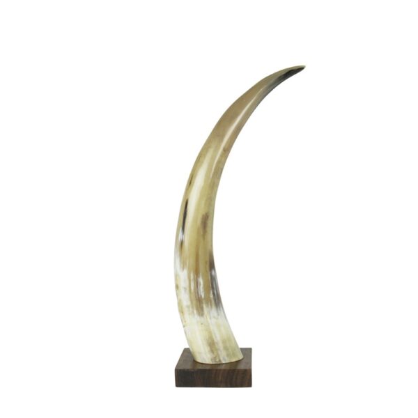 HORN ON WOOD 45CM