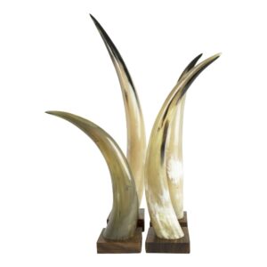 HORN ON WOOD 35CM