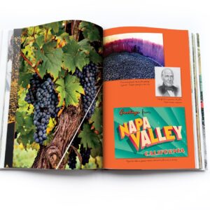 КНИГА IN THE SPIRIT OF NAPA VALLEY