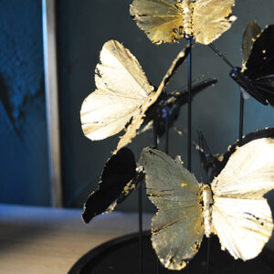 CADENCE BELL JAR BUTTERFLIES