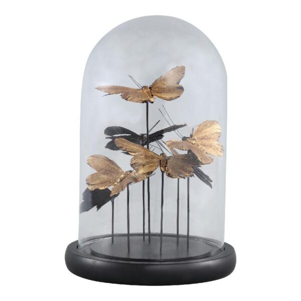 CADENCE BELL JAR BUTTERFLIES