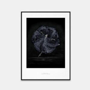 Постер Essence of Ballet 06