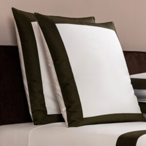 Калъфка за възглавница Bold Milk/Aloe 65x65