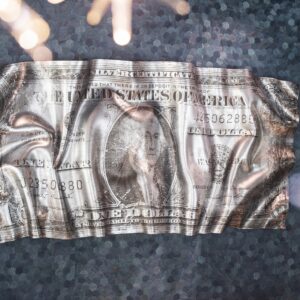 Пано Crushed Dollar Silver Cobra Art