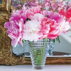 Ваза Eye Round S Clear Baccarat