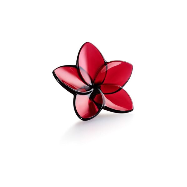 декорация baccarat the bloom collection red