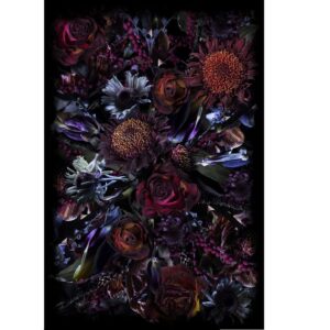 Килим Fool’s Paradise Rectangle 200 x 300 Polyamide Moooi