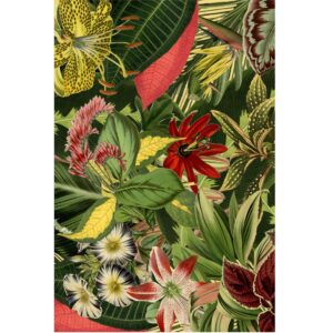 Килим Herbarium of Extinct Plants Rectangle 200 x 300 Polyamide Moooi