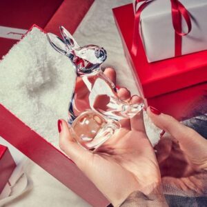 Годината на черния воден заек 1 | Elegant Living Годината на черния воден заек 1